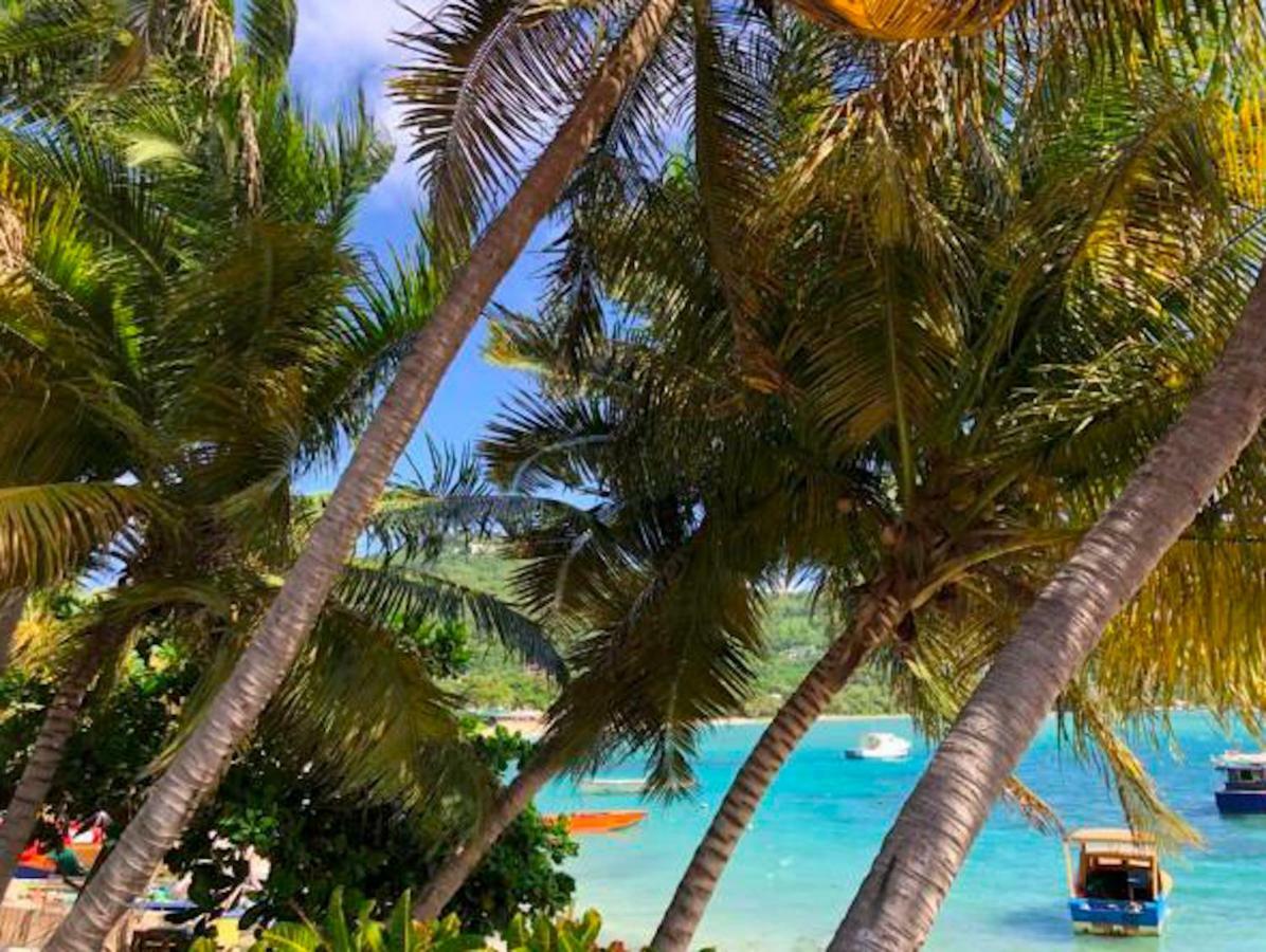 Bequia Beachfront Villa Hotel Friendship ภายนอก รูปภาพ