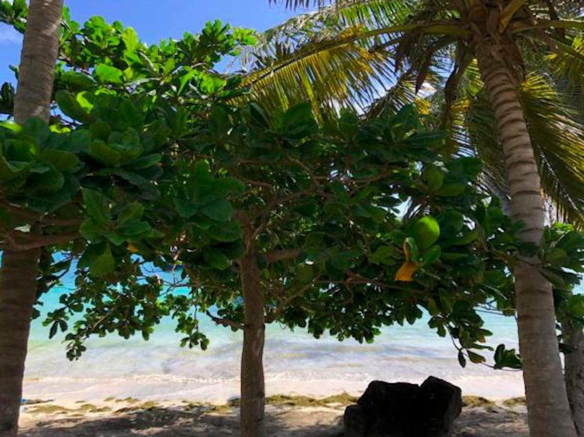 Bequia Beachfront Villa Hotel Friendship ภายนอก รูปภาพ