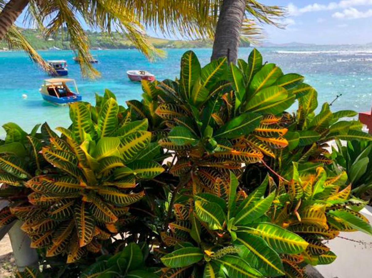 Bequia Beachfront Villa Hotel Friendship ภายนอก รูปภาพ
